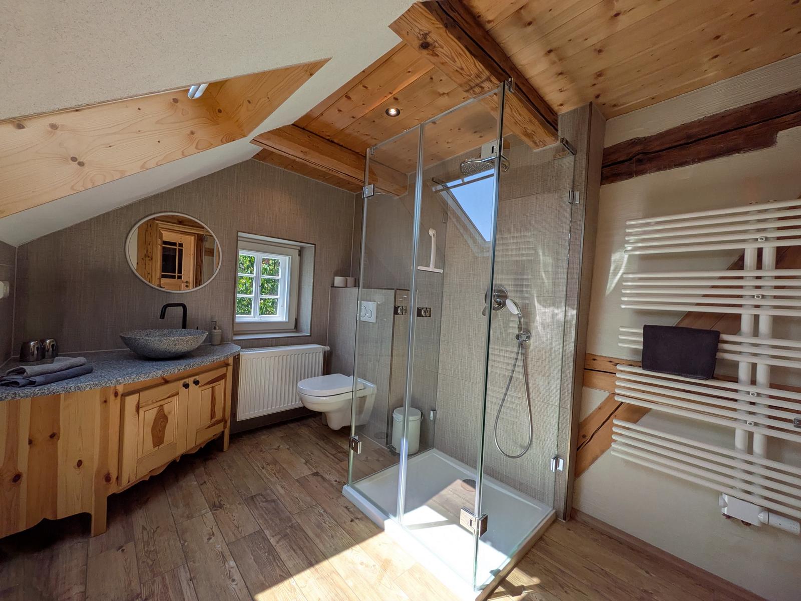 Dusche mit Hand- und Kopfbrause